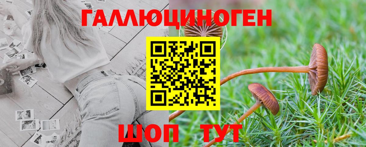 Галлюциногенные грибы Psilocybe Донецк