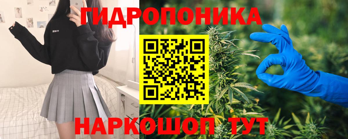 Бошки Шишки семена Донецк